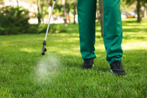 Reliable Millcreek, UT Pest Control Solutions