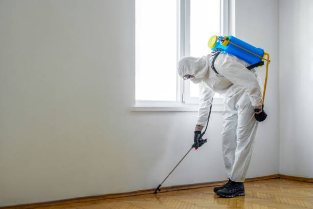 Best Affordable Pest Control Services  in Millcreek, UT
