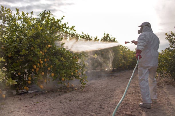 Flea Control Services in Millcreek, UT