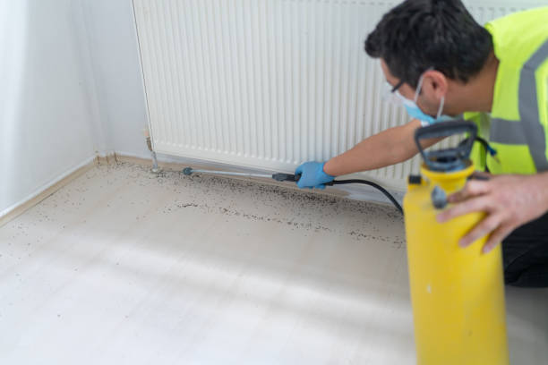 Best Ant Control Services  in Millcreek, UT